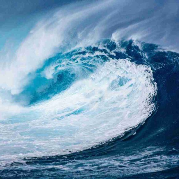 Welle